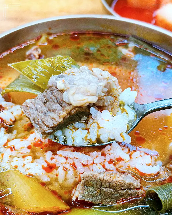 창원 마산 가게 한우 국밥 가격파괴와이 5천원 소머리국밥 사골곰탕 점심 특선 맛집 추천