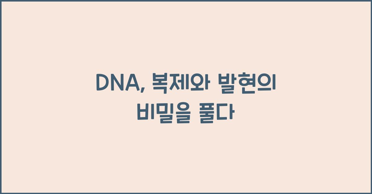 DNA, 복제와 발현