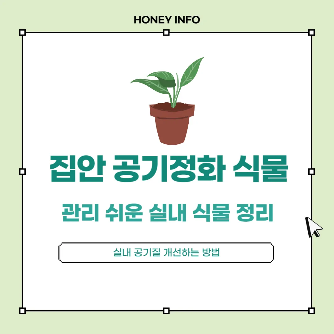 집안 공기정화 식물