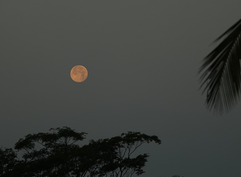 밤하늘의 슈퍼문(supermoon)