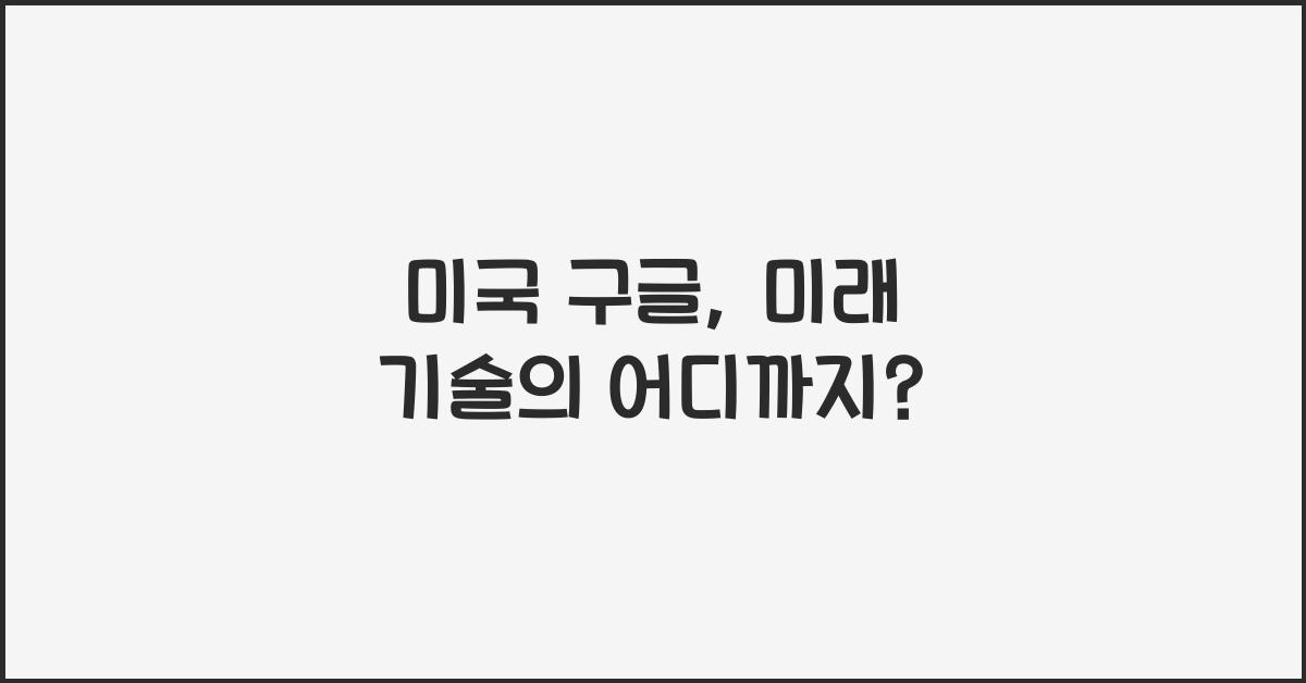 미국 구글
