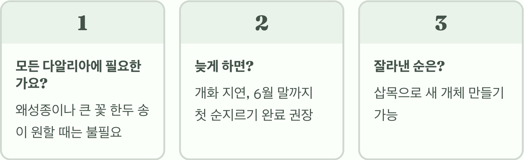 다알리아 꽃 2배로 많이 보는 '순지르기' 비법, 안 해주면 후회!