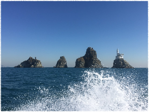 오륙도