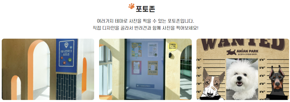 울산 애니언파크