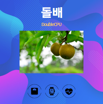 돌배 알아보기