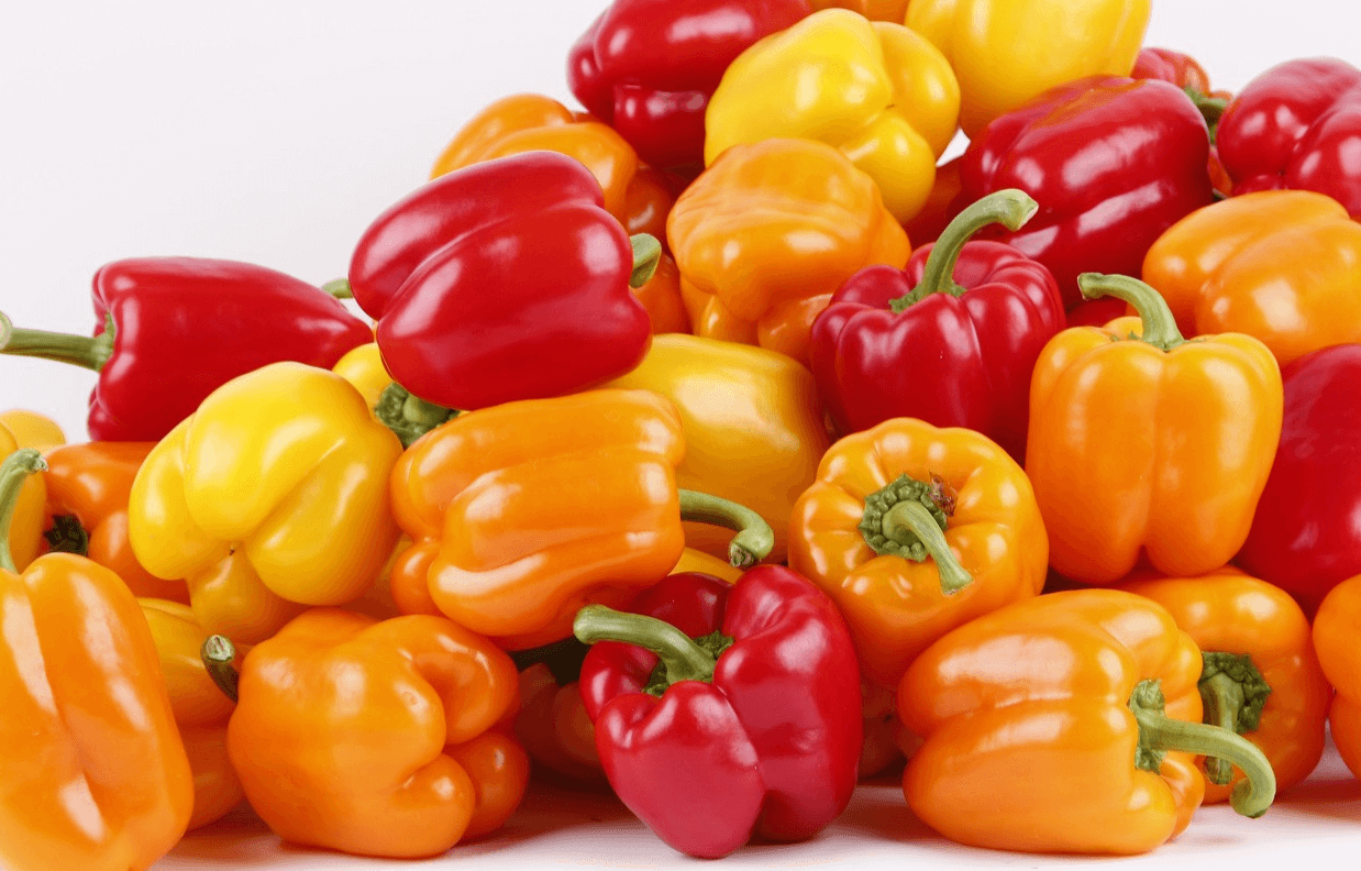 다양한 파프리카