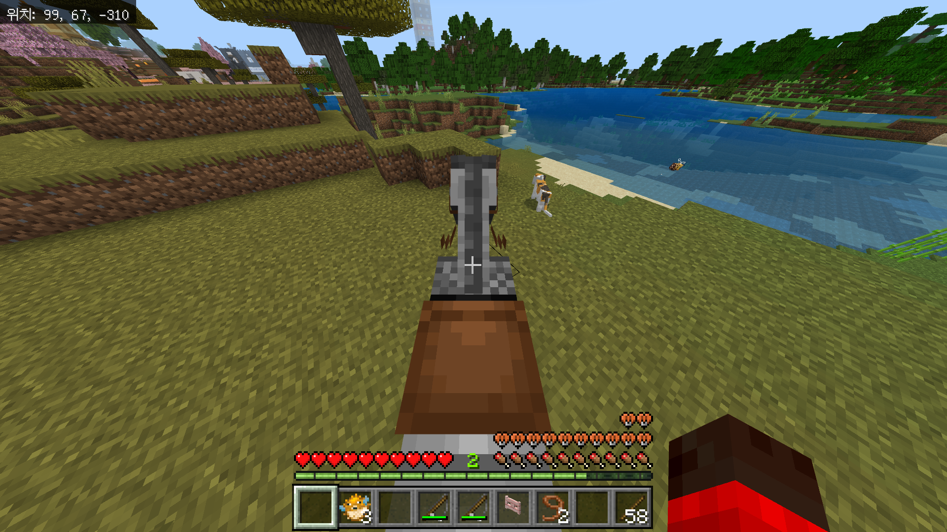 고양이를 찾고 길들이는 방법