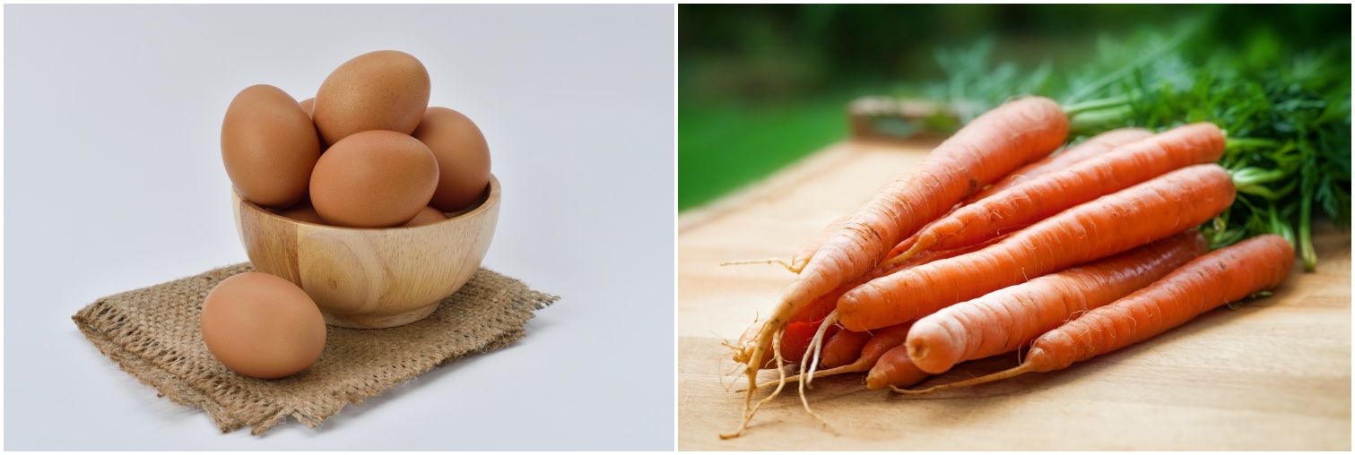 계란과 당근 사진