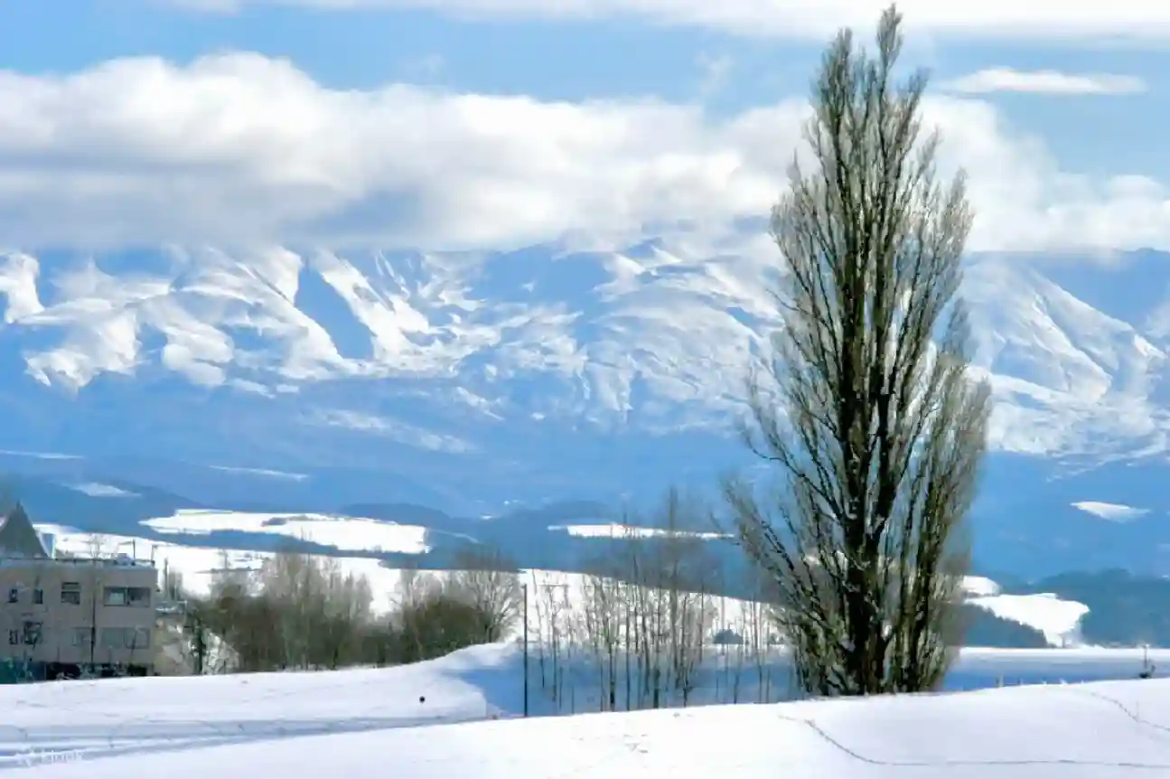 훗카이도 아사히야마 동물원 시라히게 폭포 비에이 블루 폰드 일일투어