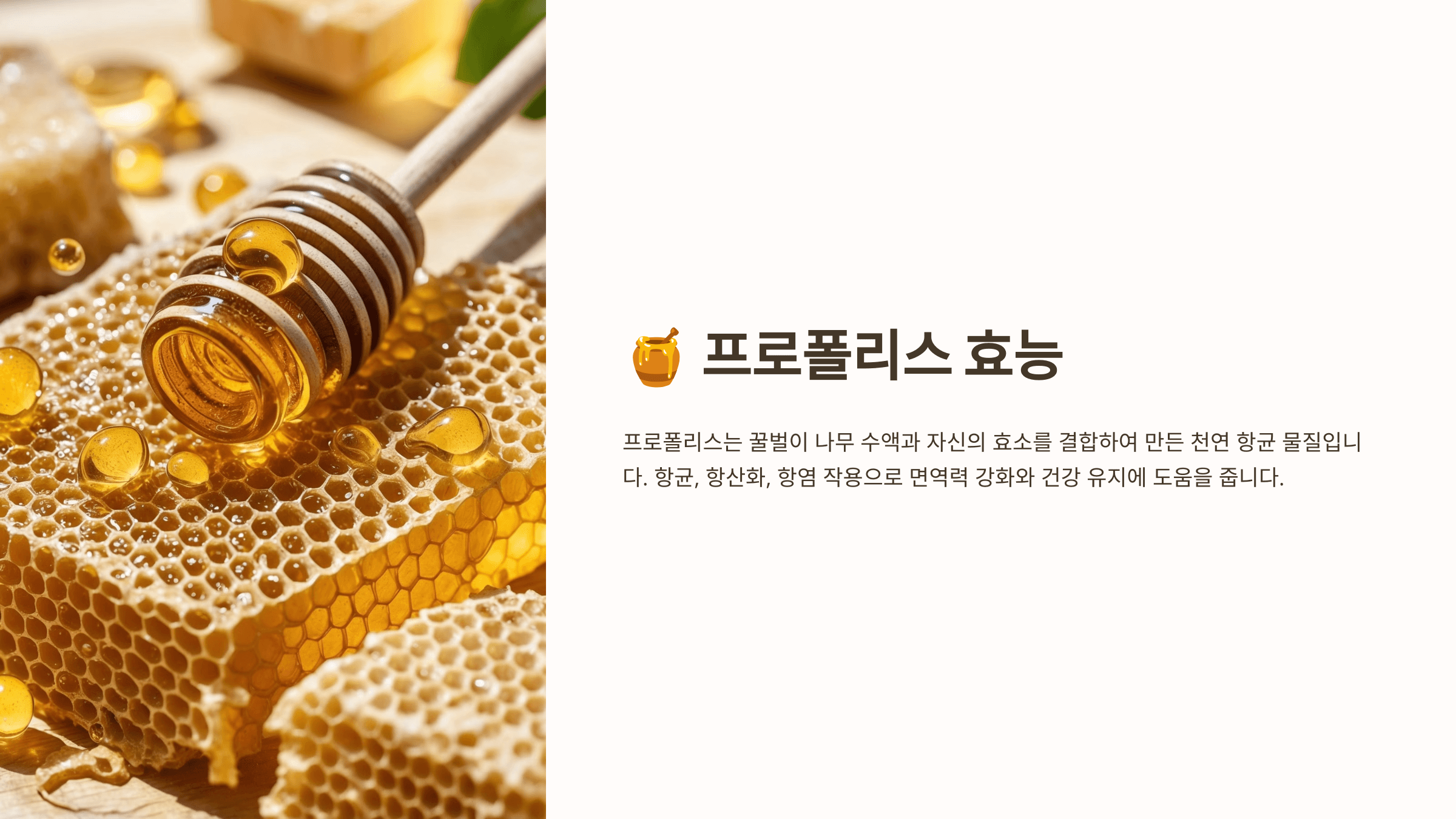 프로폴리스와 관련된 사진입니다.