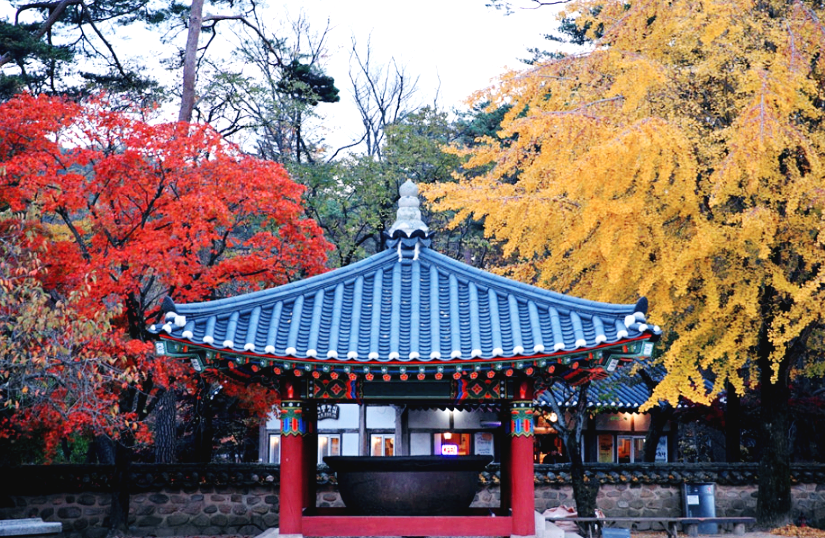속리산국립공원 단풍