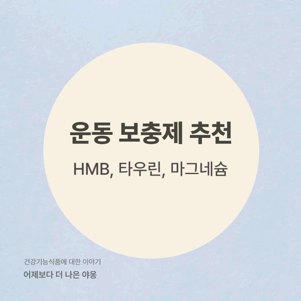 HMB vs 타우린 vs 마그네슘! 운동 후 회복을 위한 필수 성분 비교