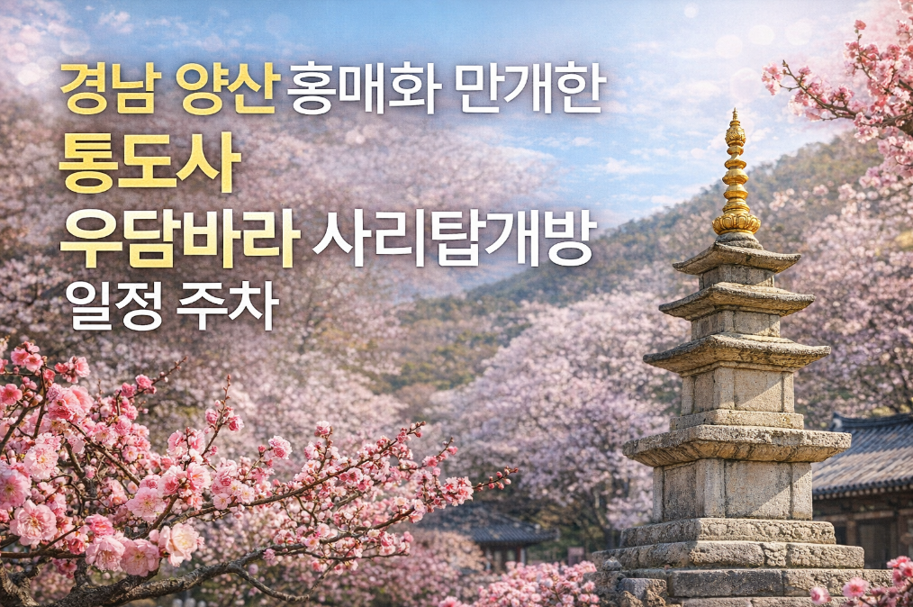 통도사 홍매화 만개시기와 사리탑 개방일정 총정리