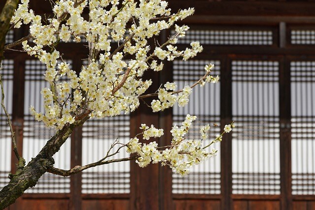 사극에 자주 나오는 관직