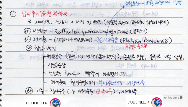 참나무 시들음병