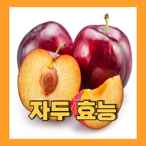 자두 효능