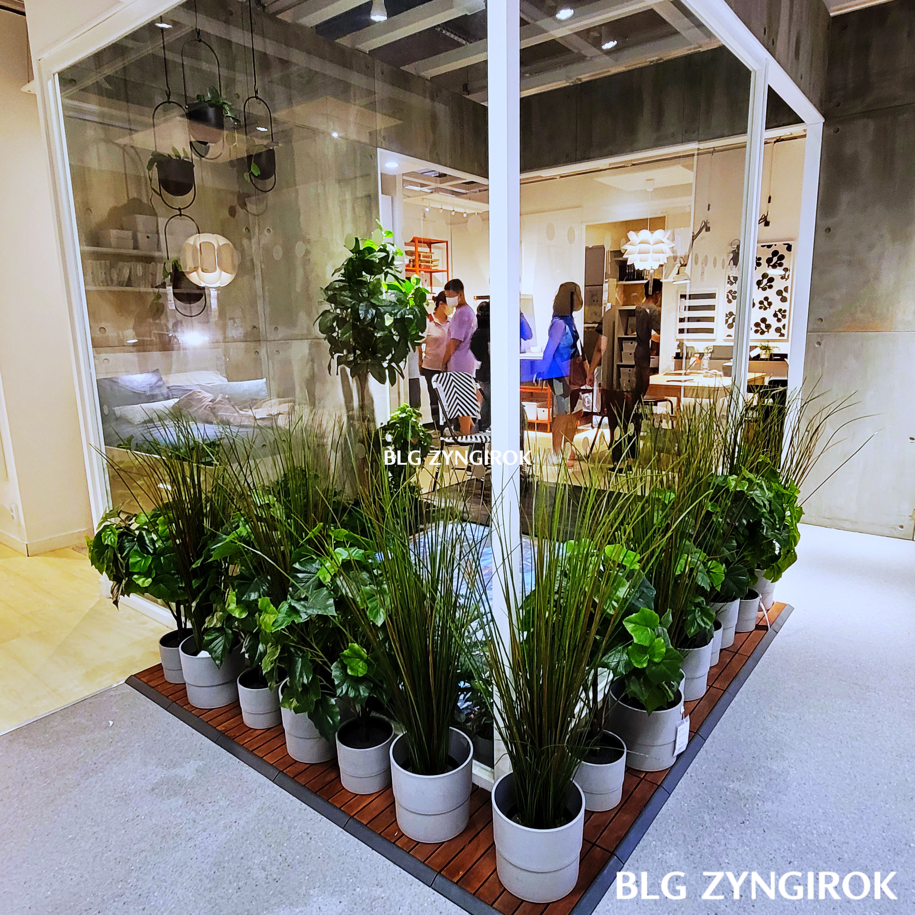 식물-화분들이-사각형-모서리-벽면을-따라놓여있다.-벽면은-흰색-철-프레임에-유리로-되어있다.-유리로-보이는-내부는-스크린으로-만든-작은-연못이-있다.