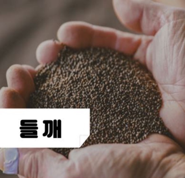 들깨 효능
