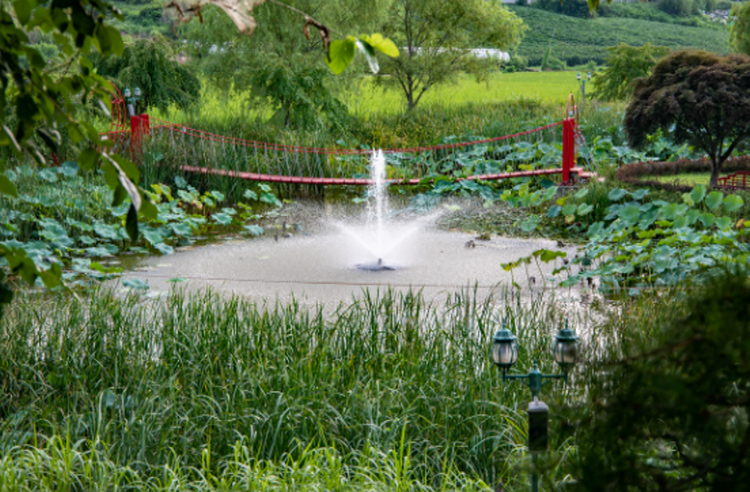 파주 퍼스트가든