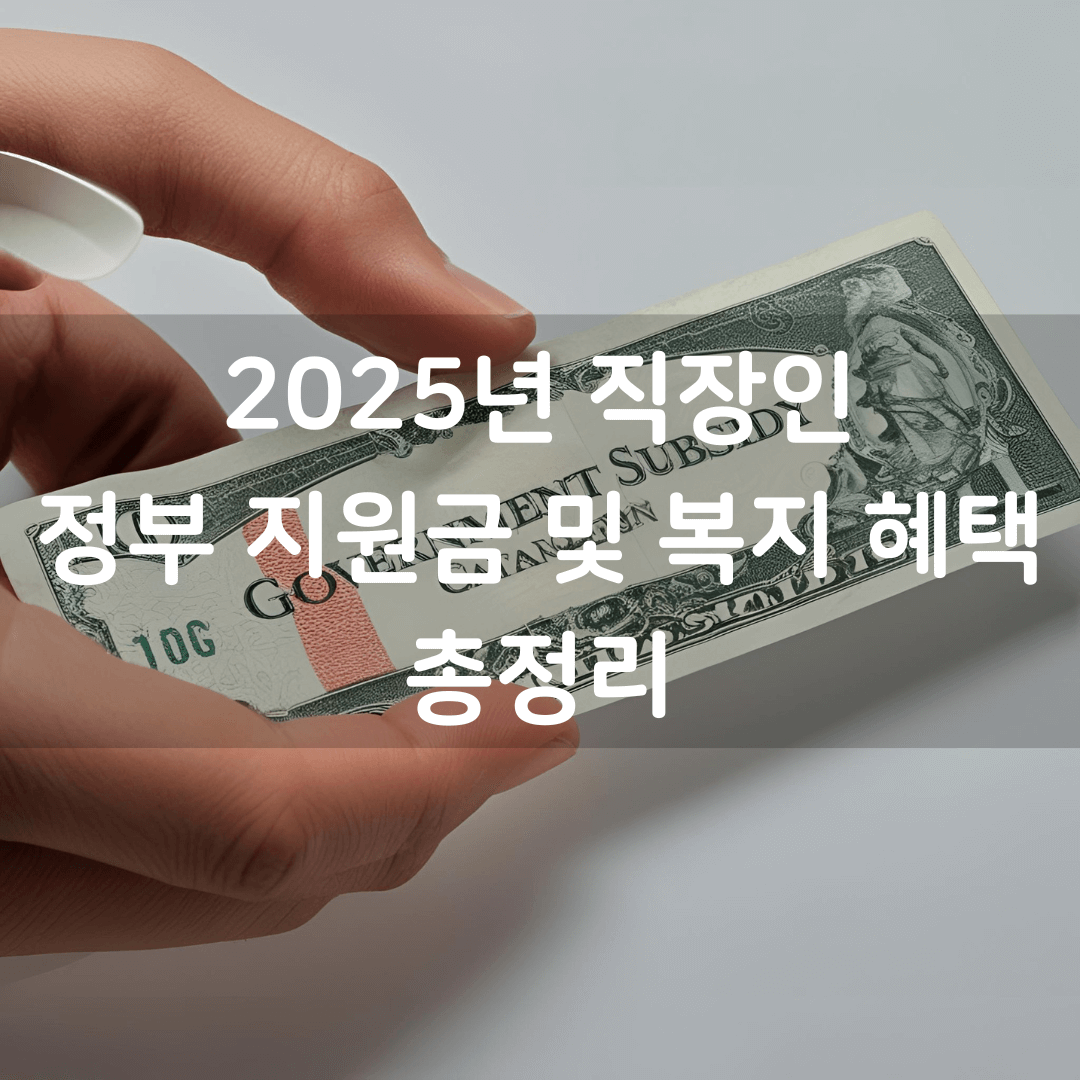 놓치면 손해! 2025년 직장인 정부 지원금 및 복지 혜택 총정리
