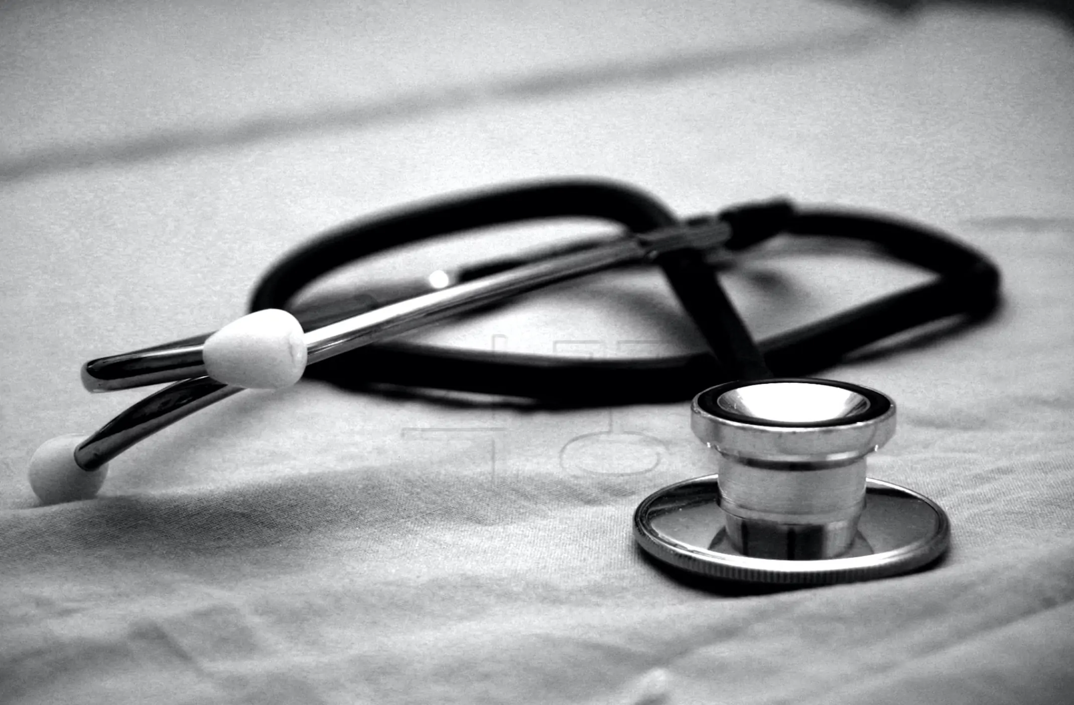 암진단 관련 사진