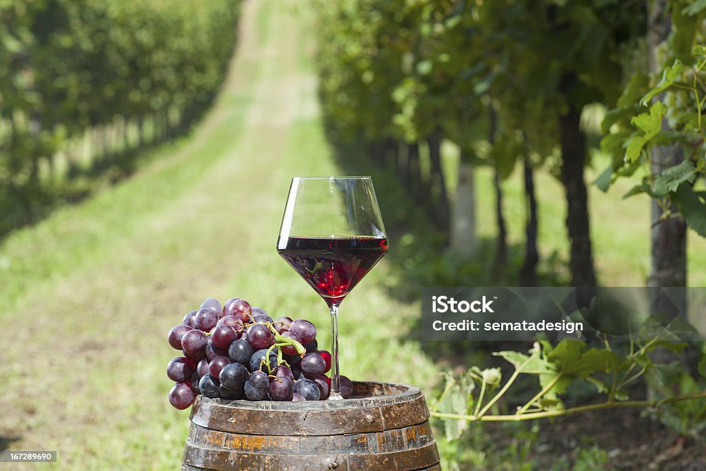 와인산지와 와인