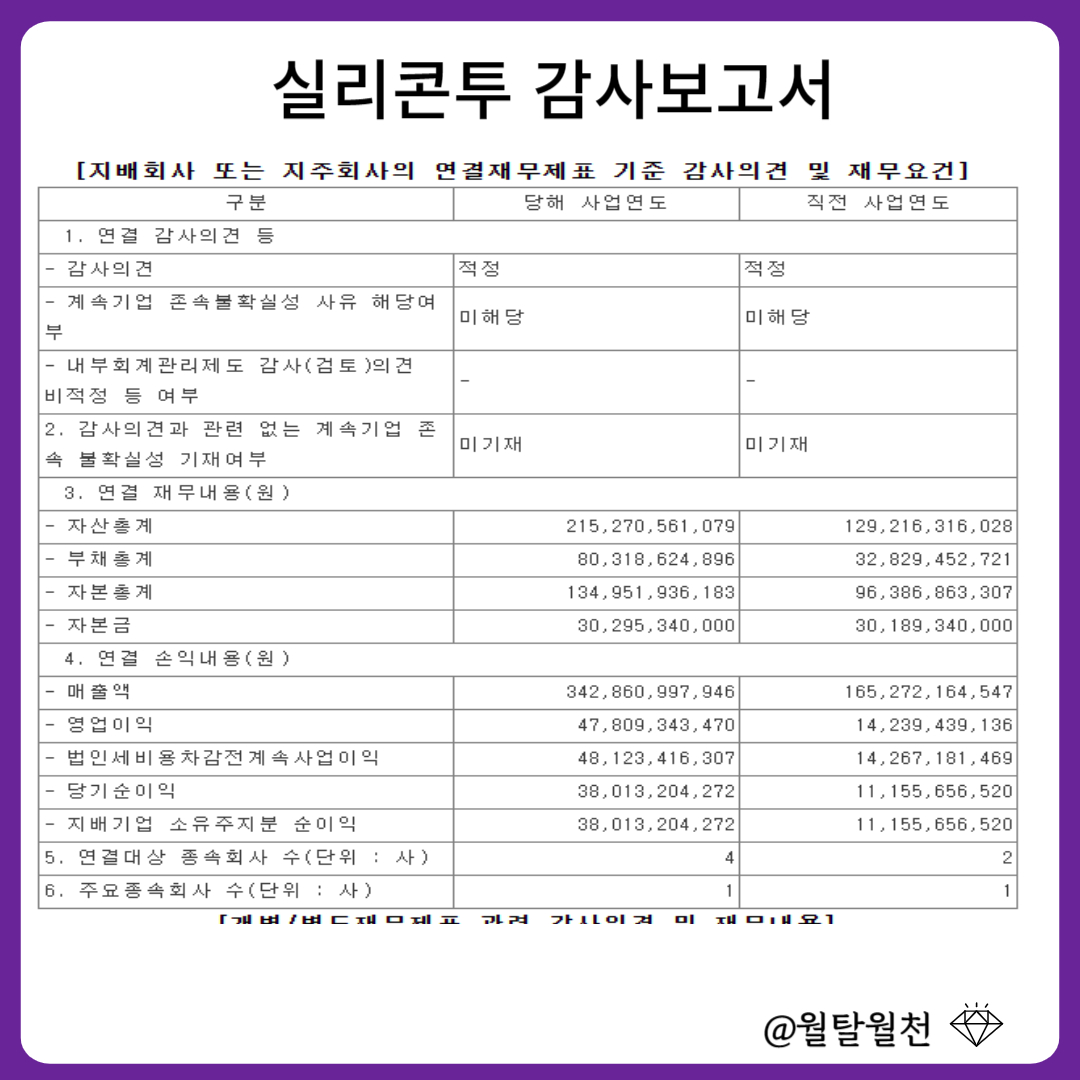 실리콘투 감사보고서