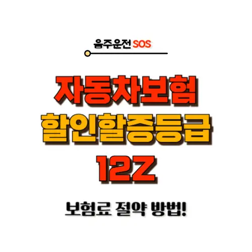 할인할증등급 12Z
