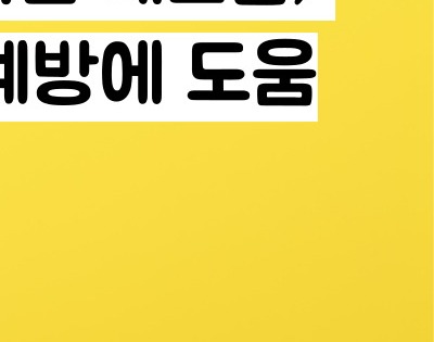 레몬즙 효능