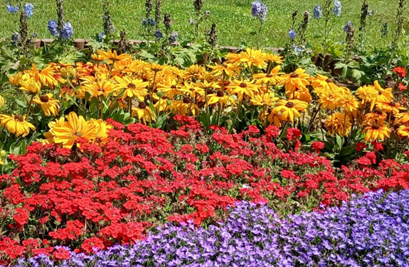 일산 호수공원 + 고양국제꽃박람회3