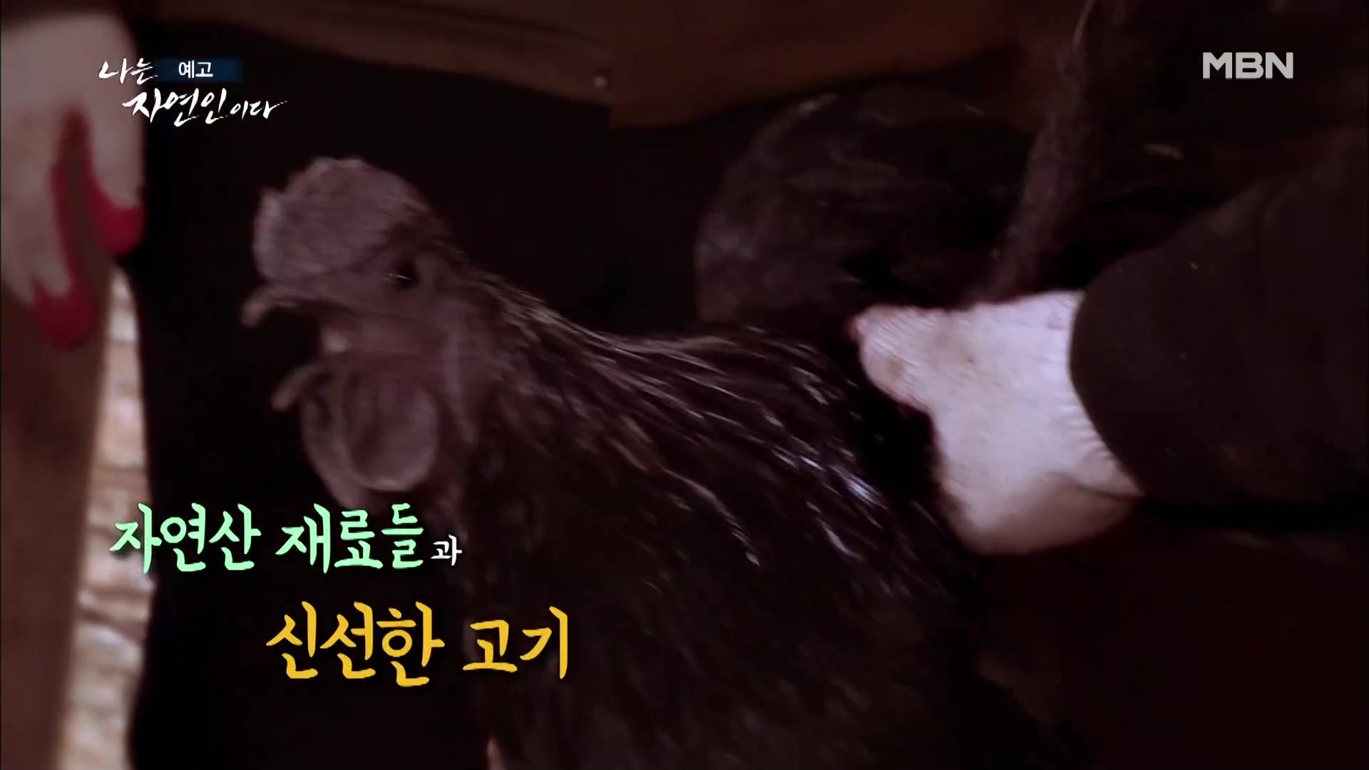 나는 자연인이다 식객 토종닭 화덕 구이 매콤 돼지갈비찜 막걸리 사과찐빵 내가 비워낸 것들 자연인 권규환 소개 및 윤택 출연 543회 다시보기