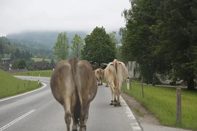 유니세프 후원 해지 방법 절차와 고객센터 정보 안내_9