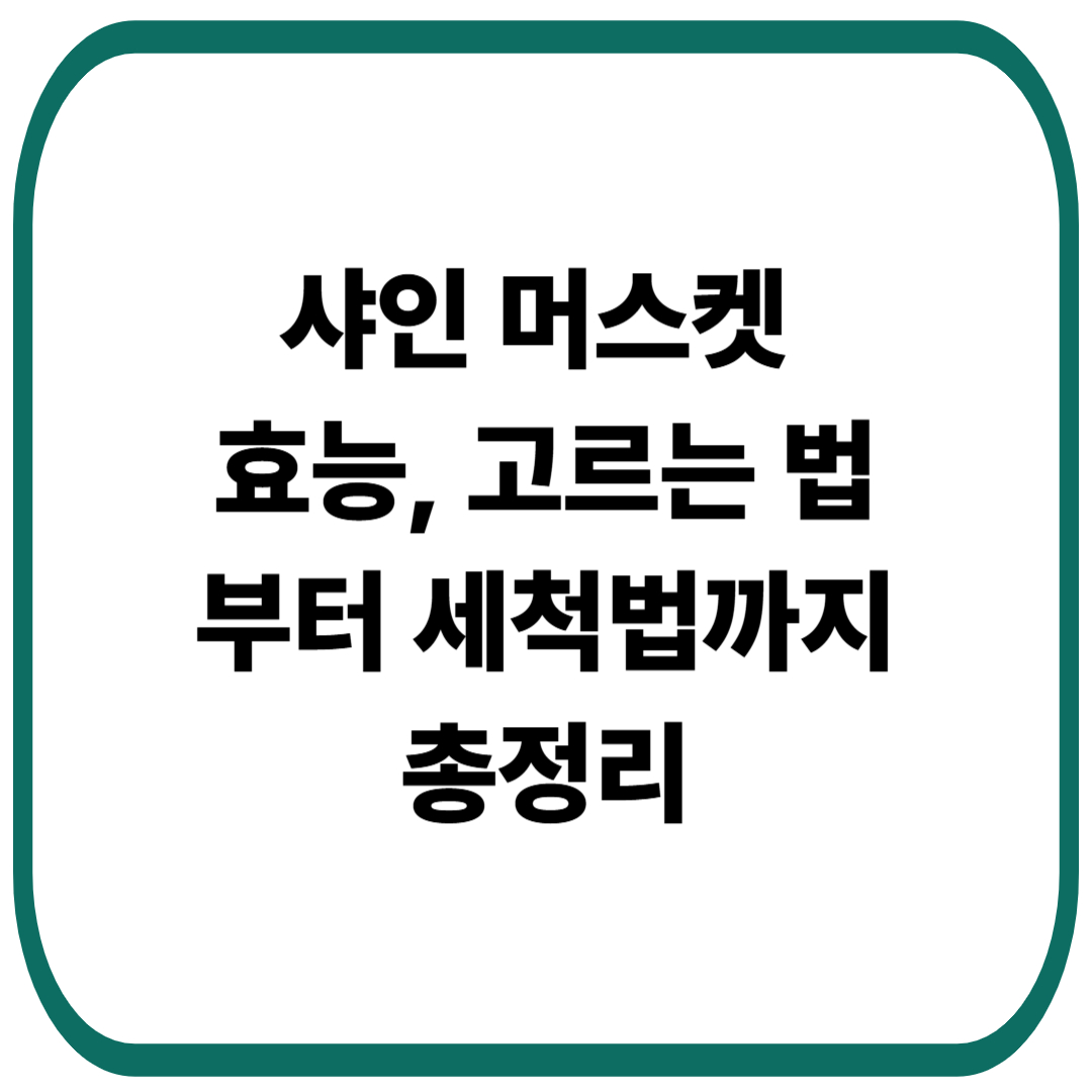 샤인 머스켓 효능, 고르는 법부터 수확시기·칼로리·세척법까지