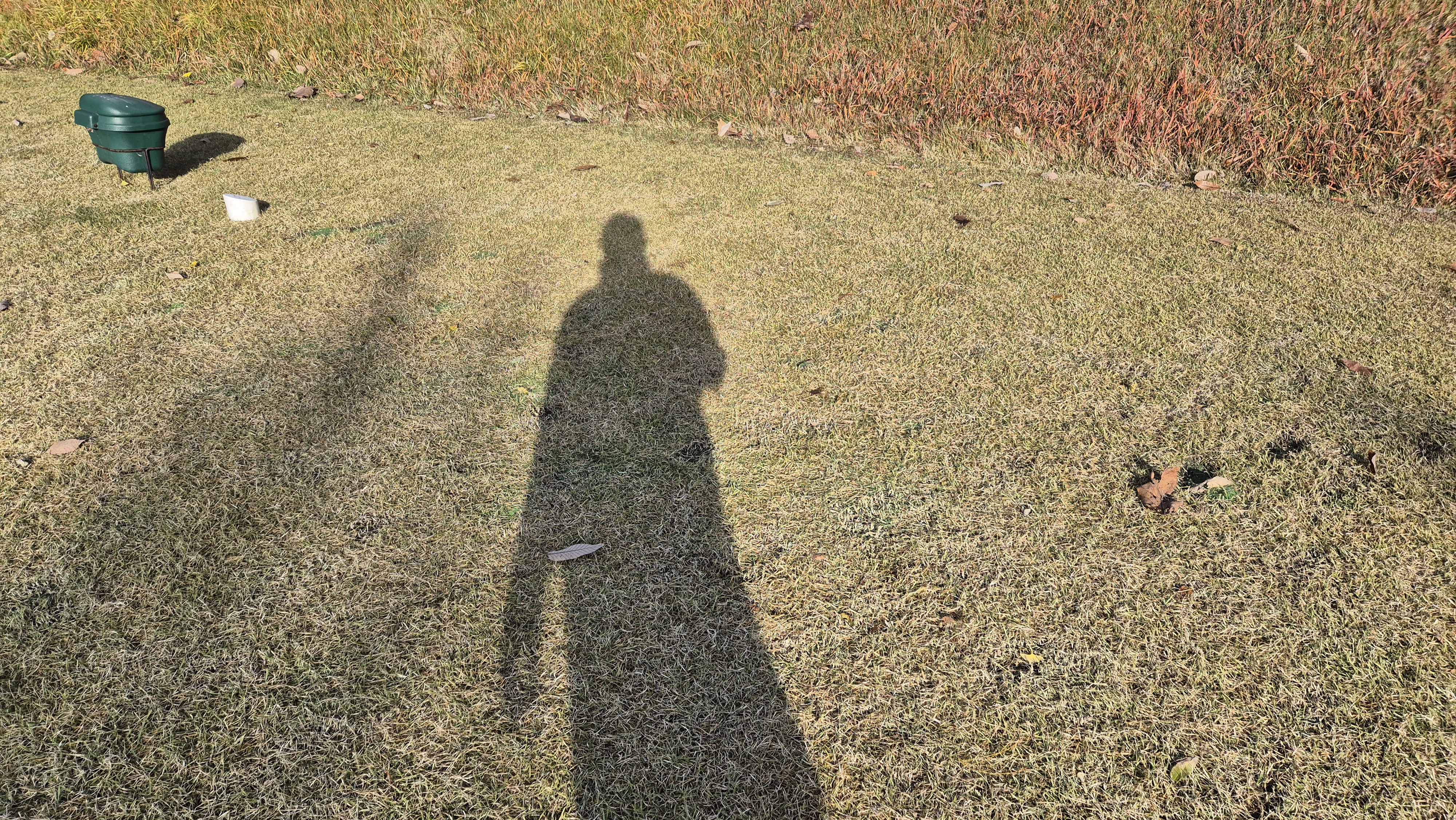 세종에머슨cc 밸리-마운틴 코스 티잉구역 상태