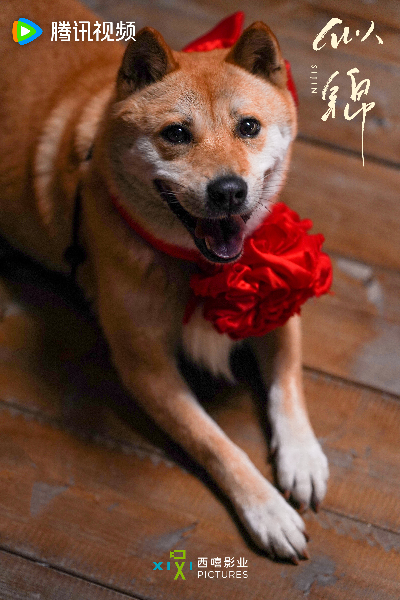 이뉴