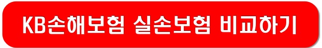 KB손해보험-실손보험-링크-이미지