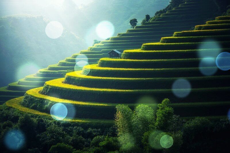 잘-정돈된-계단식-밭-풍경