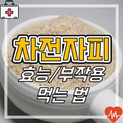 차전자피