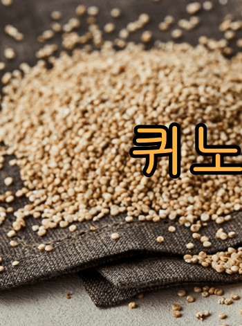 혈당_GI지수_낮은_ 쌀