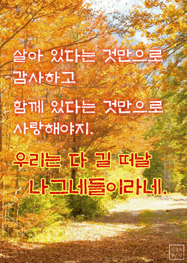 가을 단풍길 풍경과 인생 좋은글, 살아 있다는 것만으로 감사하고 함께 있다는 것만으로 사랑해야 한다는 명언 이미지