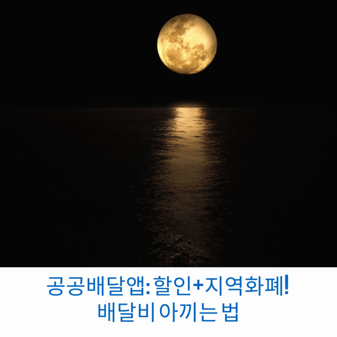 공공배달앱-할인-지역화폐-배달비-아끼는-법-썸네일