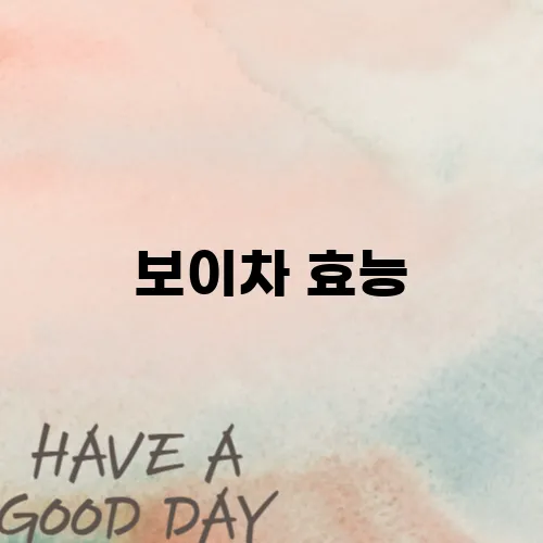 보이차 효능