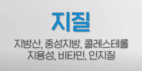 고지혈증 검사 비용