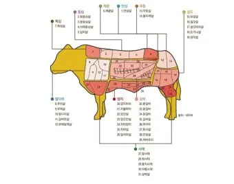 맛있는 국내산 소고기 부위 명칭 특징 조리방식_8
