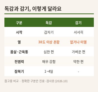 독감 증상 독감과 감기 비교표