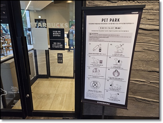 스타벅스 더북한강R점 방문 후기: 북한강 뷰 맛집 끝판왕! 뷰, 펫 프렌들리, 독특한 메뉴까지 완벽 정리!