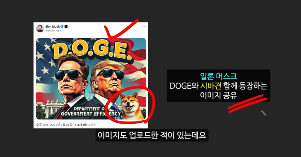 일론 머스크의 충격 발언과 도지코인, 플로키코인, 위프코인, 피넛코인, 프레드 코인의 강력한 상승 가능성 분석