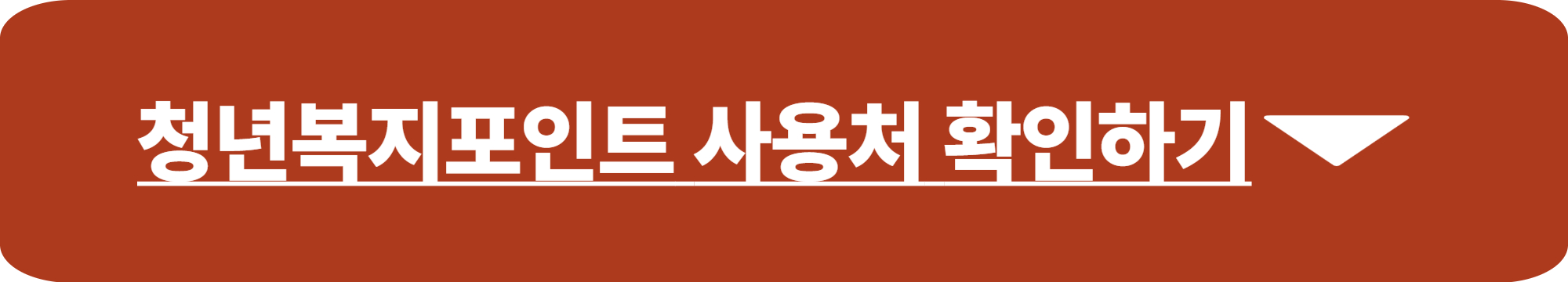 청년복지포인트