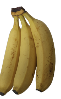 스트레스성 위염