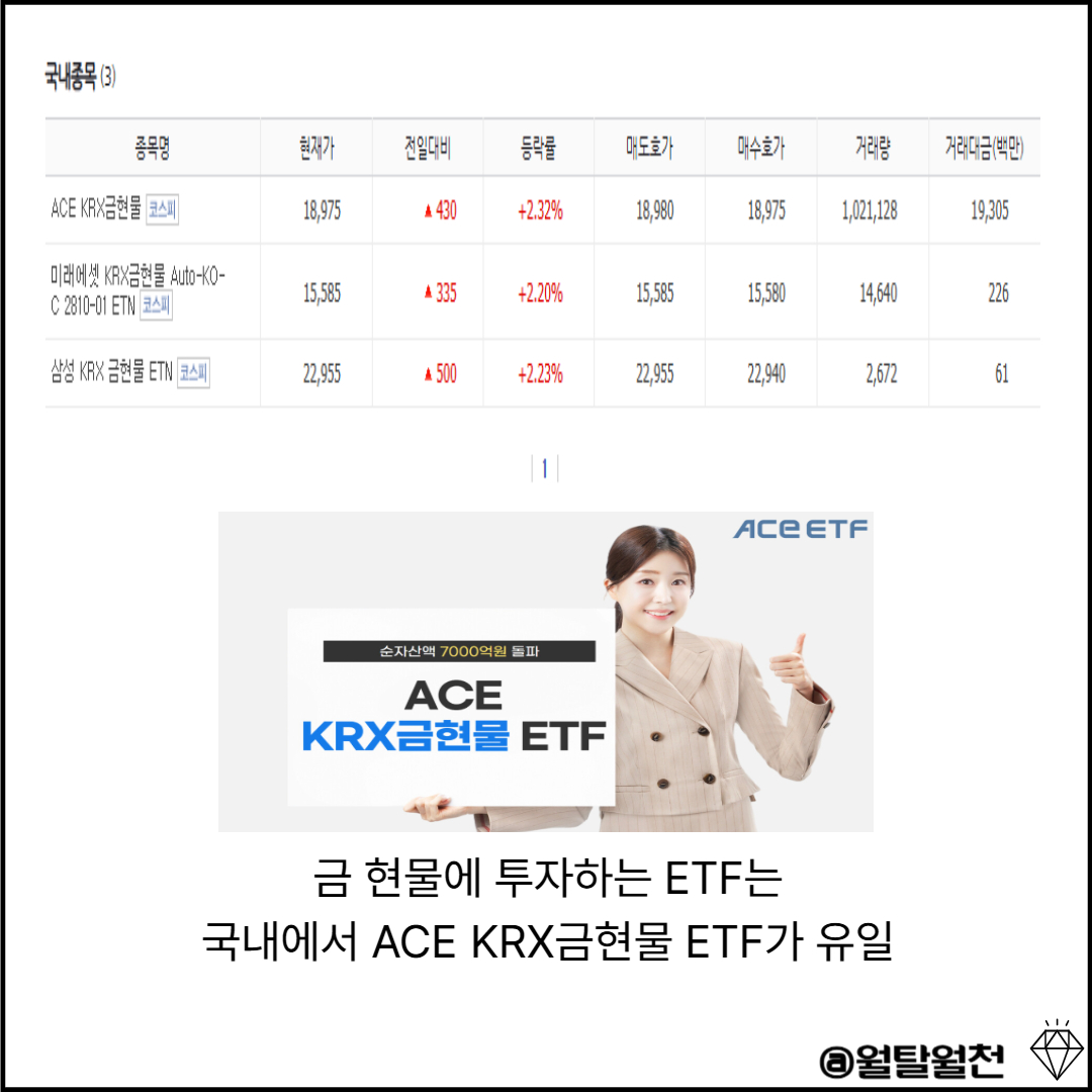 국내 현물 ETF